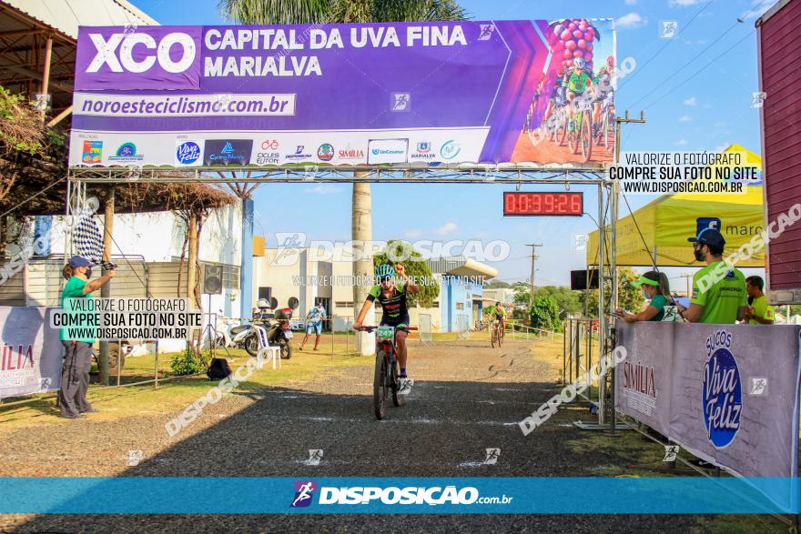 XCO Capital da Uva Fina Marialva 2021