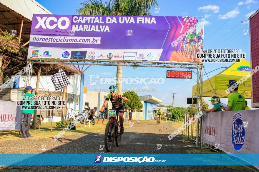 XCO Capital da Uva Fina Marialva 2021