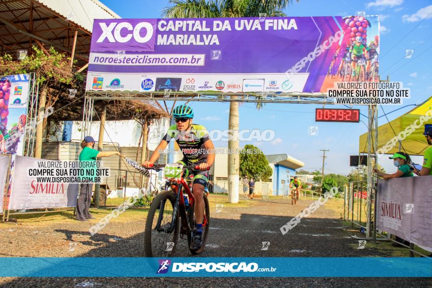 XCO Capital da Uva Fina Marialva 2021