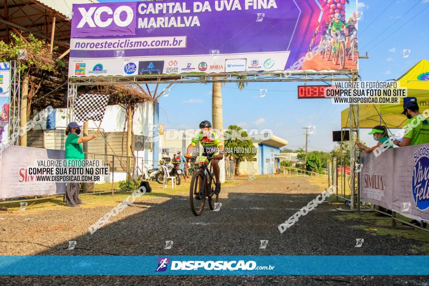 XCO Capital da Uva Fina Marialva 2021