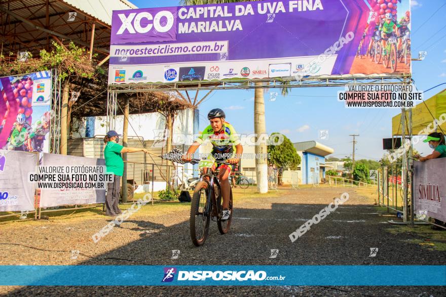 XCO Capital da Uva Fina Marialva 2021