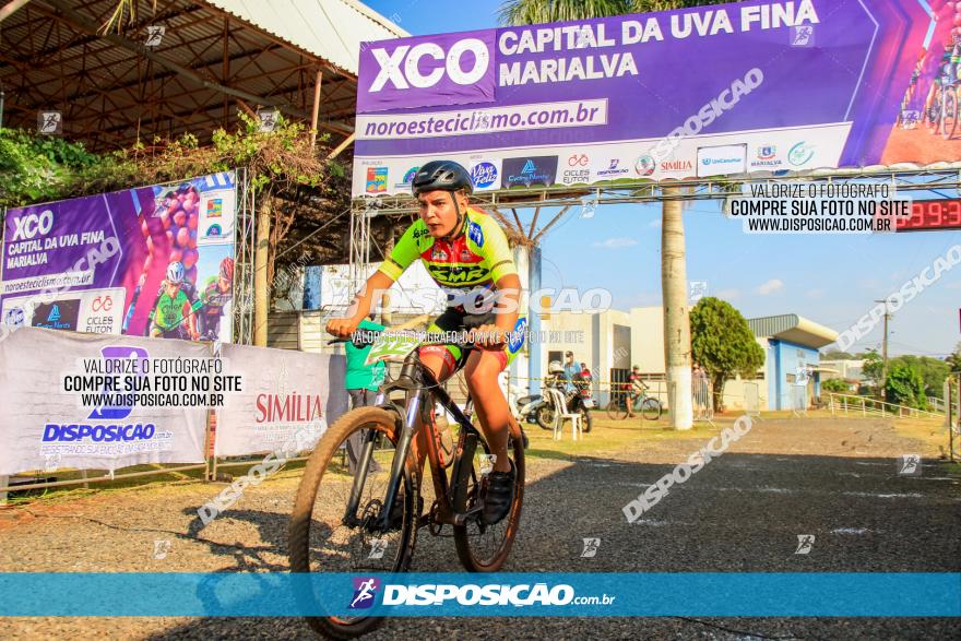 XCO Capital da Uva Fina Marialva 2021