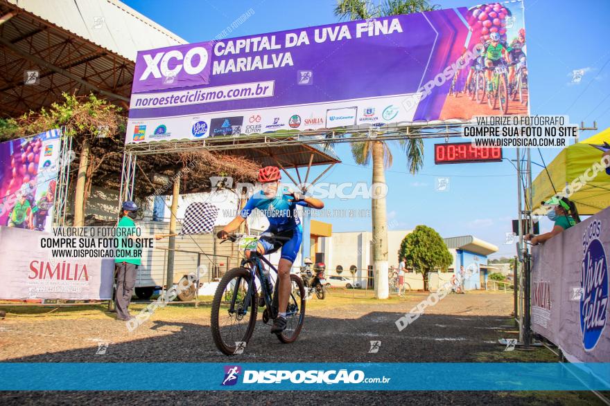 XCO Capital da Uva Fina Marialva 2021