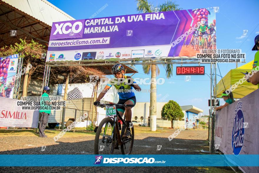 XCO Capital da Uva Fina Marialva 2021