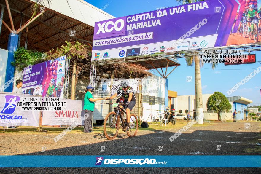 XCO Capital da Uva Fina Marialva 2021