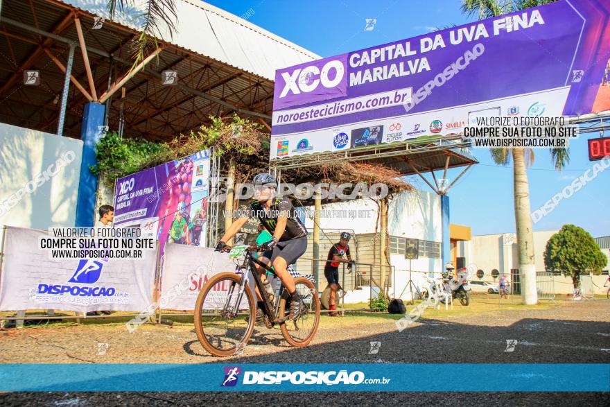 XCO Capital da Uva Fina Marialva 2021