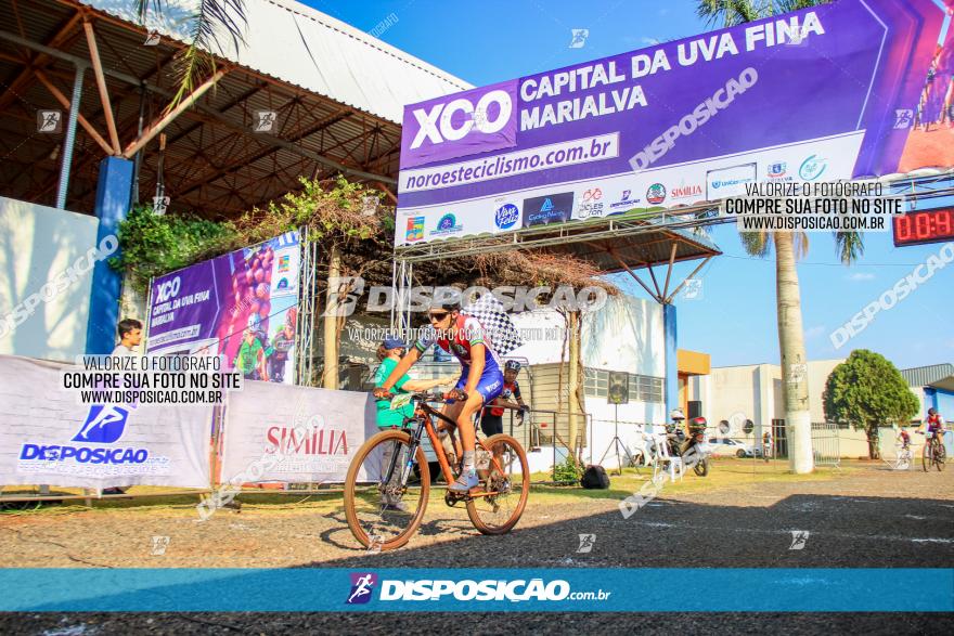 XCO Capital da Uva Fina Marialva 2021