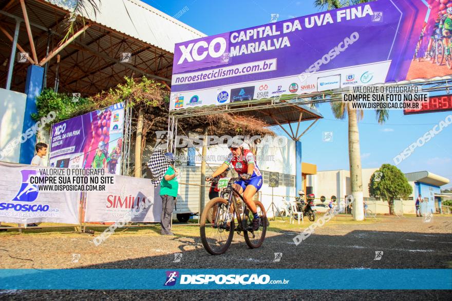 XCO Capital da Uva Fina Marialva 2021