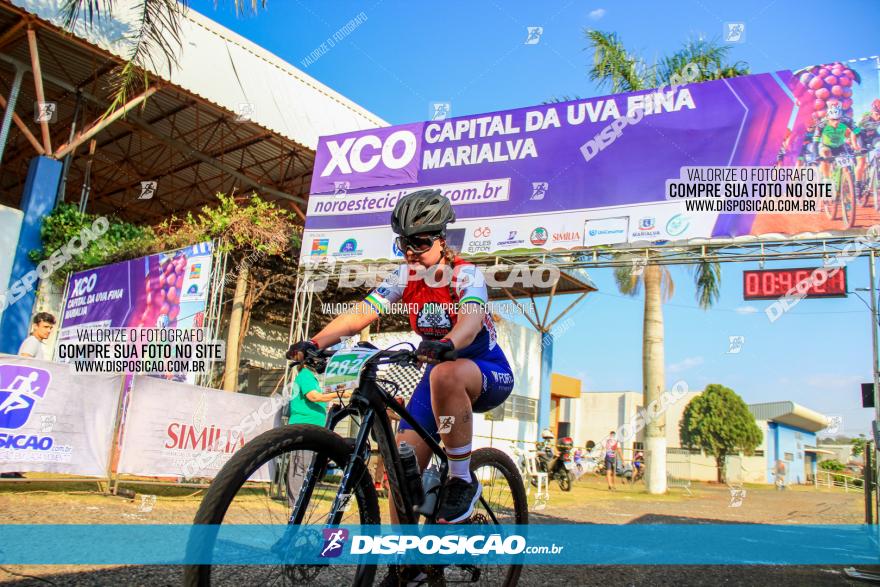 XCO Capital da Uva Fina Marialva 2021