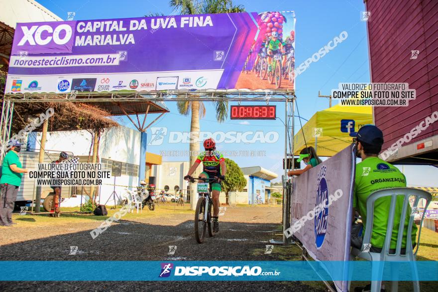 XCO Capital da Uva Fina Marialva 2021