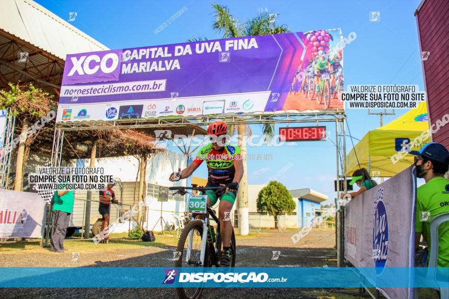 XCO Capital da Uva Fina Marialva 2021