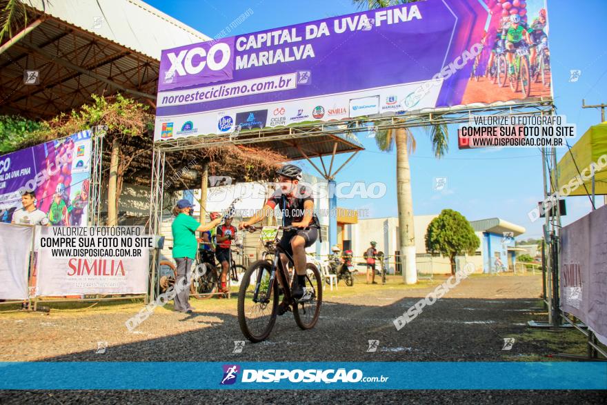 XCO Capital da Uva Fina Marialva 2021