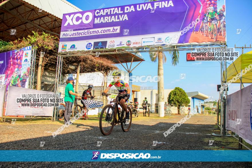 XCO Capital da Uva Fina Marialva 2021