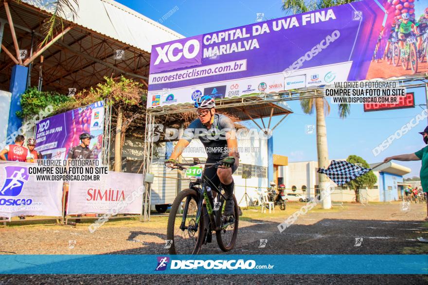 XCO Capital da Uva Fina Marialva 2021