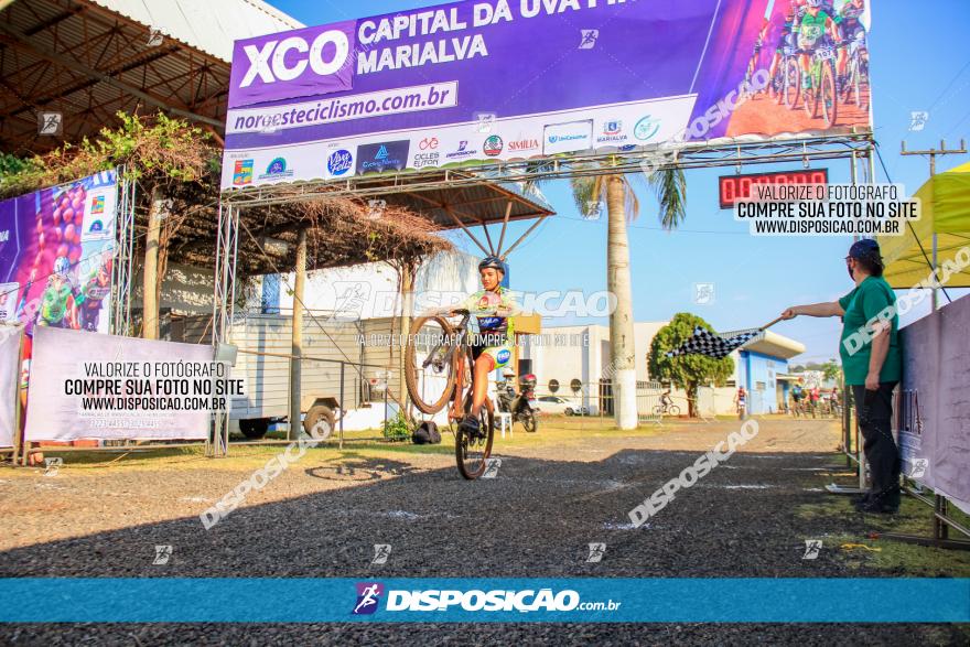 XCO Capital da Uva Fina Marialva 2021