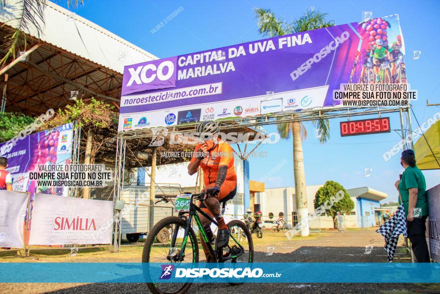 XCO Capital da Uva Fina Marialva 2021