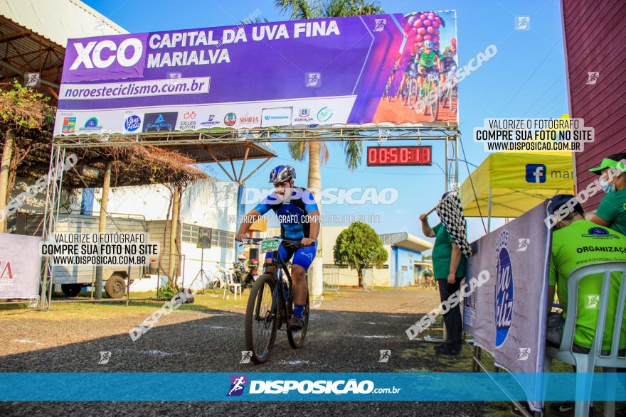 XCO Capital da Uva Fina Marialva 2021