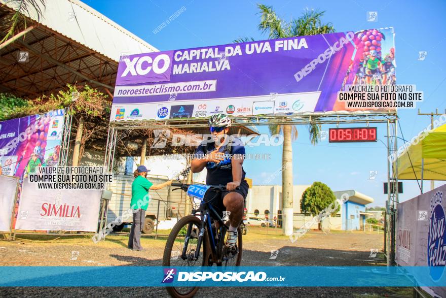 XCO Capital da Uva Fina Marialva 2021