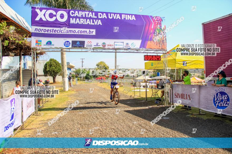 XCO Capital da Uva Fina Marialva 2021