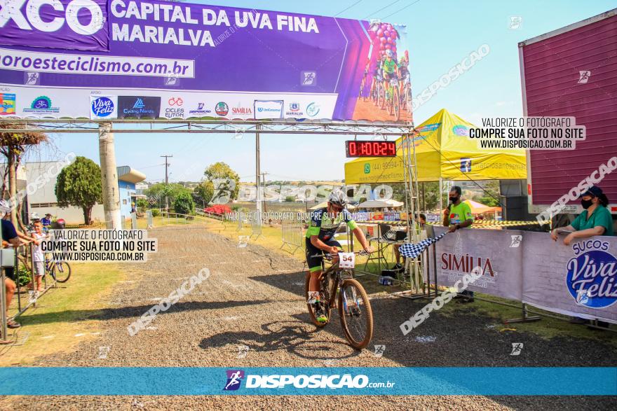 XCO Capital da Uva Fina Marialva 2021