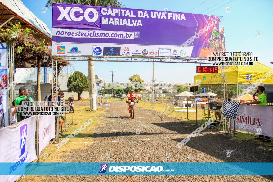 XCO Capital da Uva Fina Marialva 2021