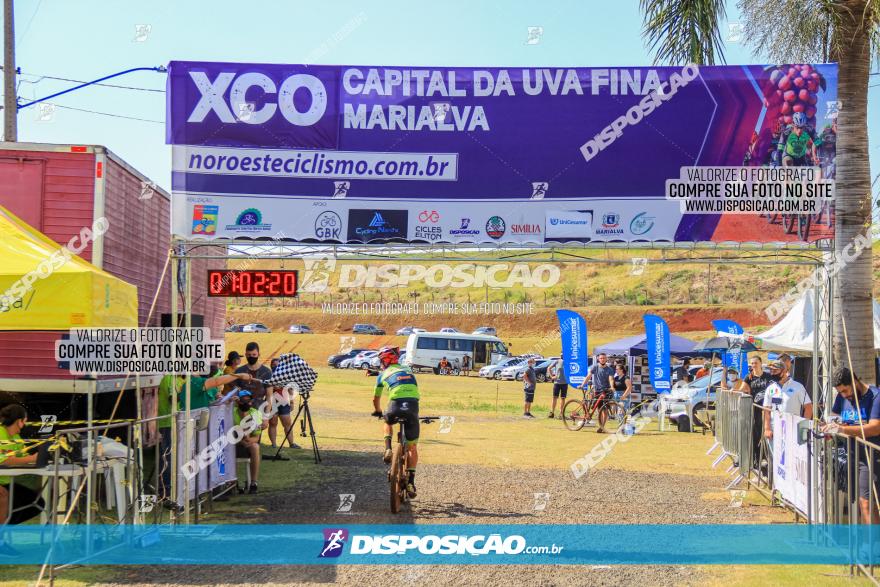 XCO Capital da Uva Fina Marialva 2021