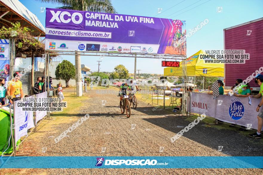 XCO Capital da Uva Fina Marialva 2021