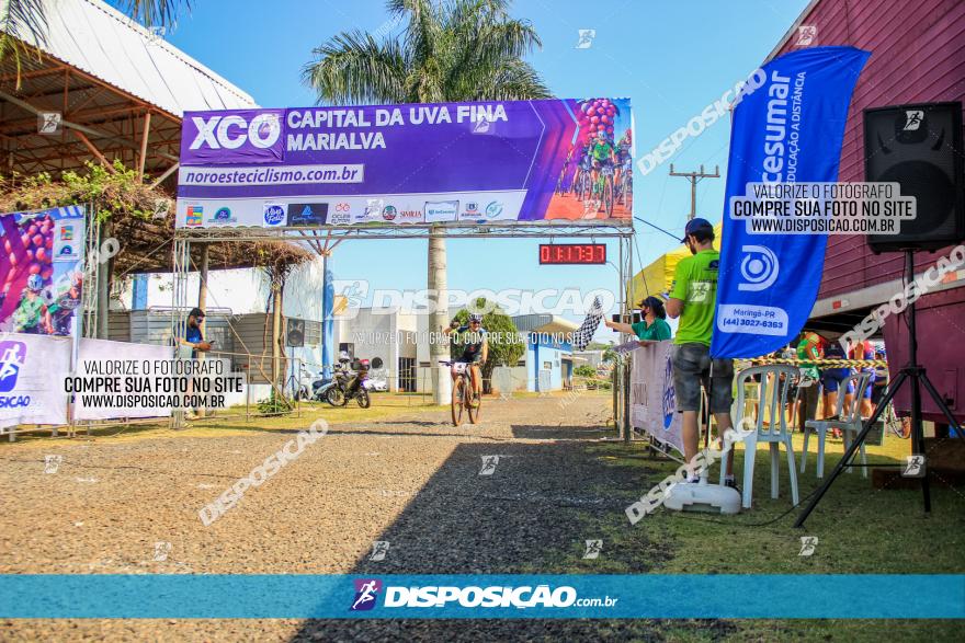 XCO Capital da Uva Fina Marialva 2021