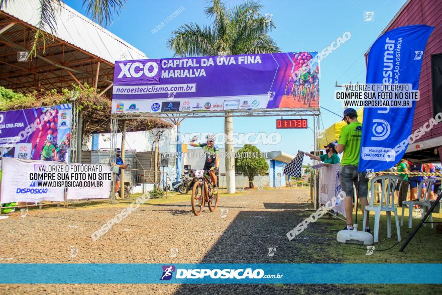 XCO Capital da Uva Fina Marialva 2021