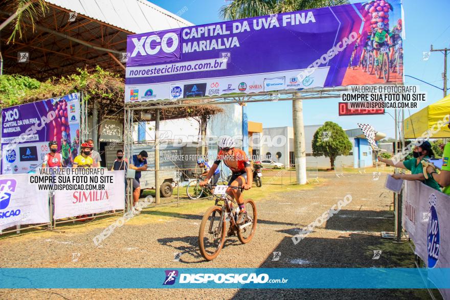 XCO Capital da Uva Fina Marialva 2021