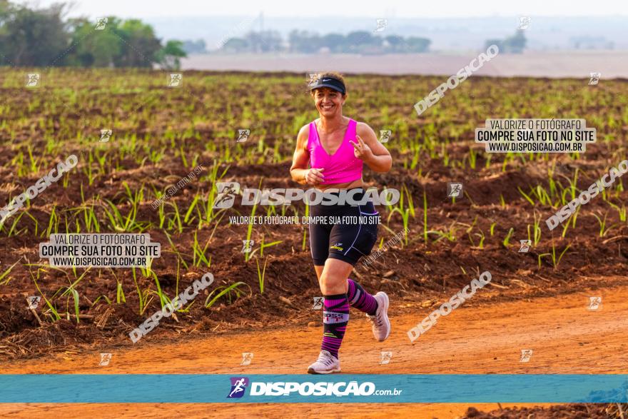 Rota das Capelas de Mandaguaçu