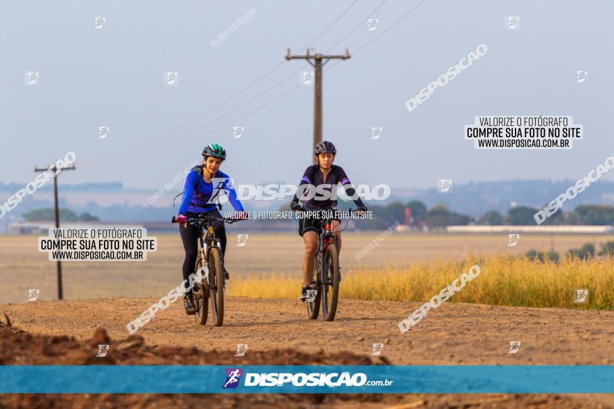 Rota das Capelas de Mandaguaçu