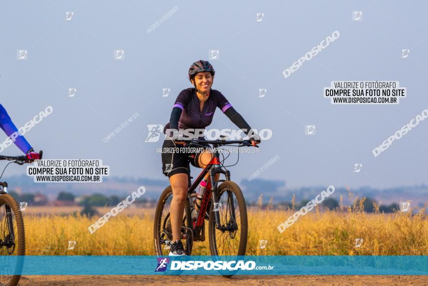 Rota das Capelas de Mandaguaçu