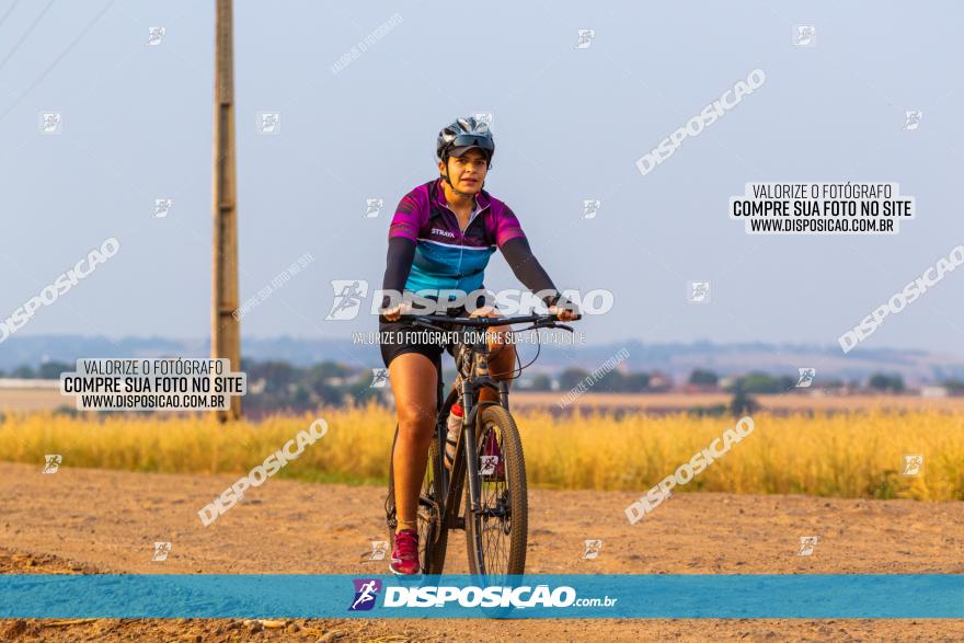 Rota das Capelas de Mandaguaçu