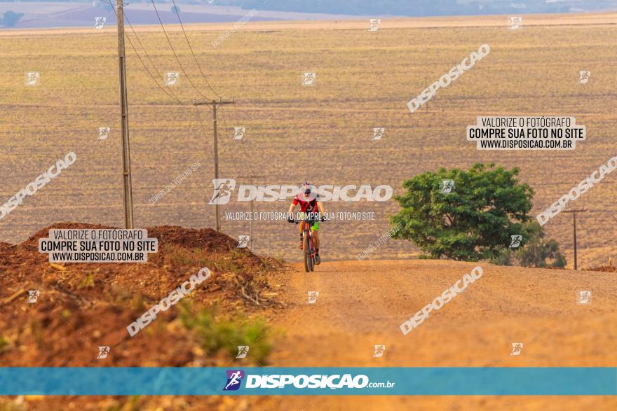 Rota das Capelas de Mandaguaçu