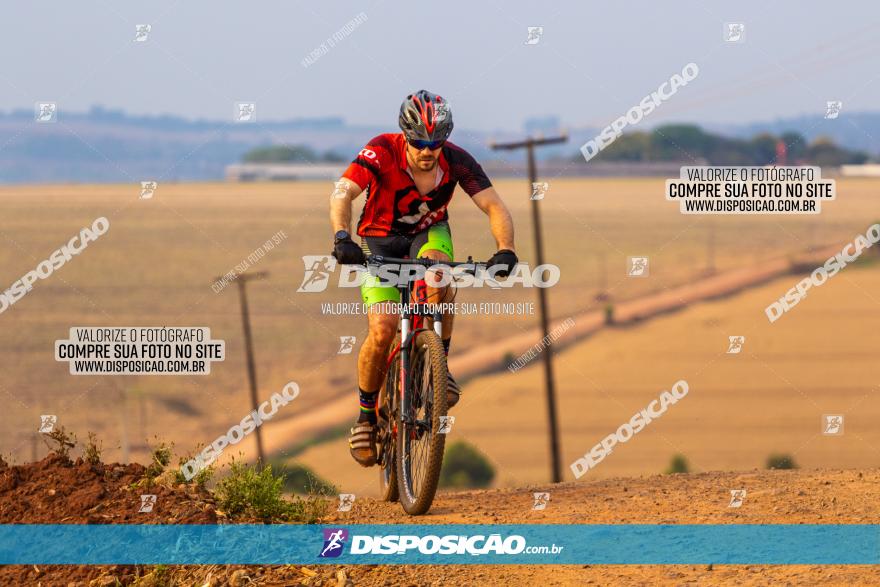 Rota das Capelas de Mandaguaçu