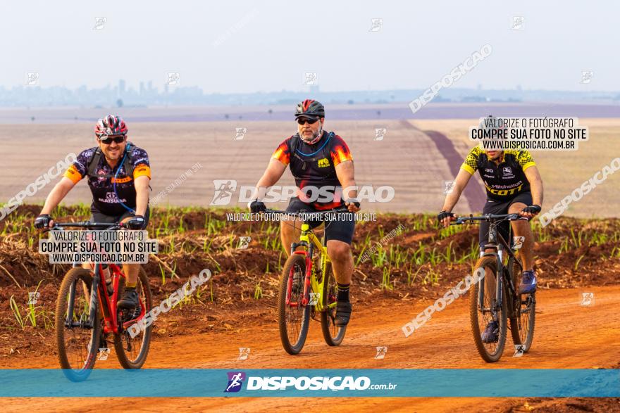 Rota das Capelas de Mandaguaçu