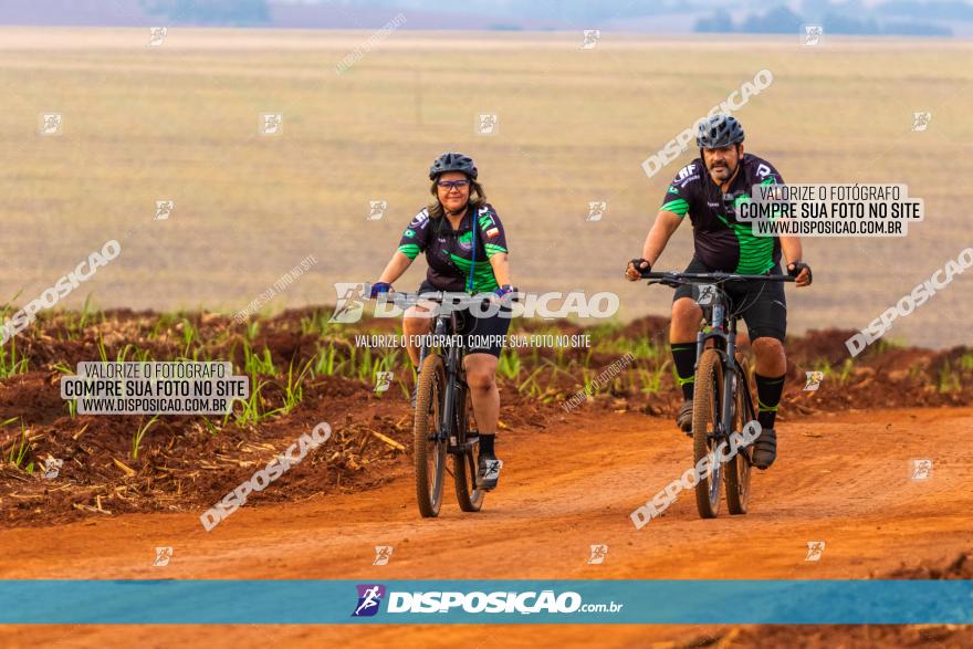 Rota das Capelas de Mandaguaçu