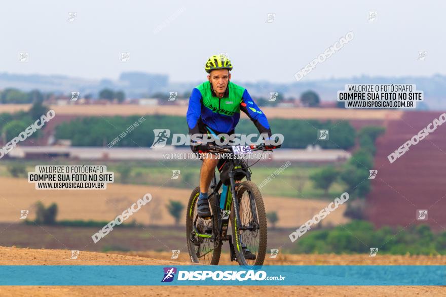 Rota das Capelas de Mandaguaçu