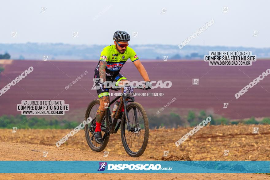 Rota das Capelas de Mandaguaçu