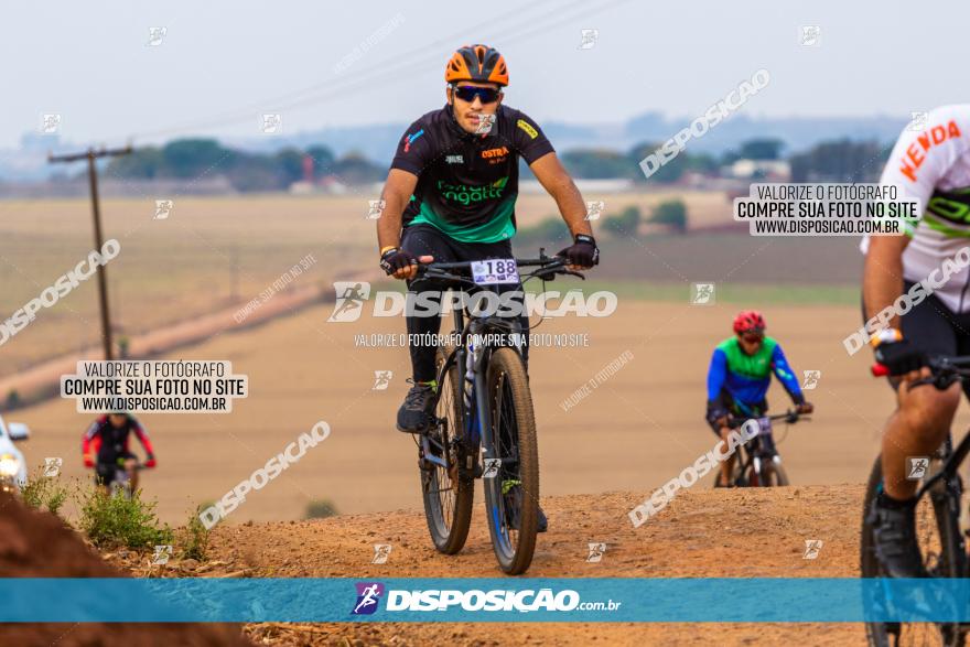 Rota das Capelas de Mandaguaçu