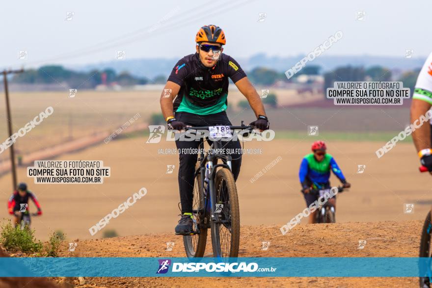 Rota das Capelas de Mandaguaçu