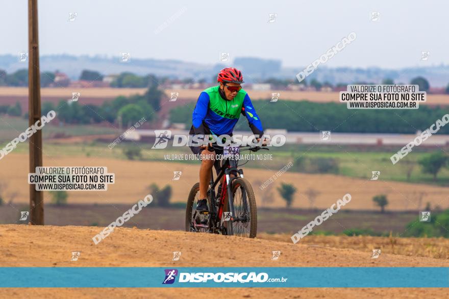 Rota das Capelas de Mandaguaçu