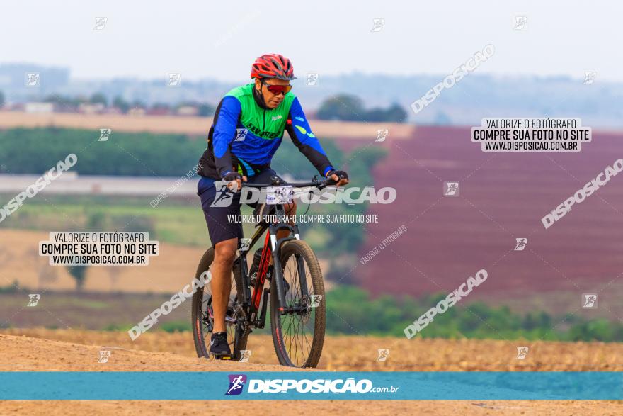 Rota das Capelas de Mandaguaçu