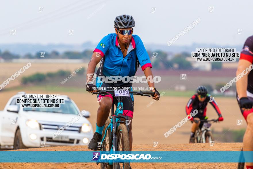 Rota das Capelas de Mandaguaçu