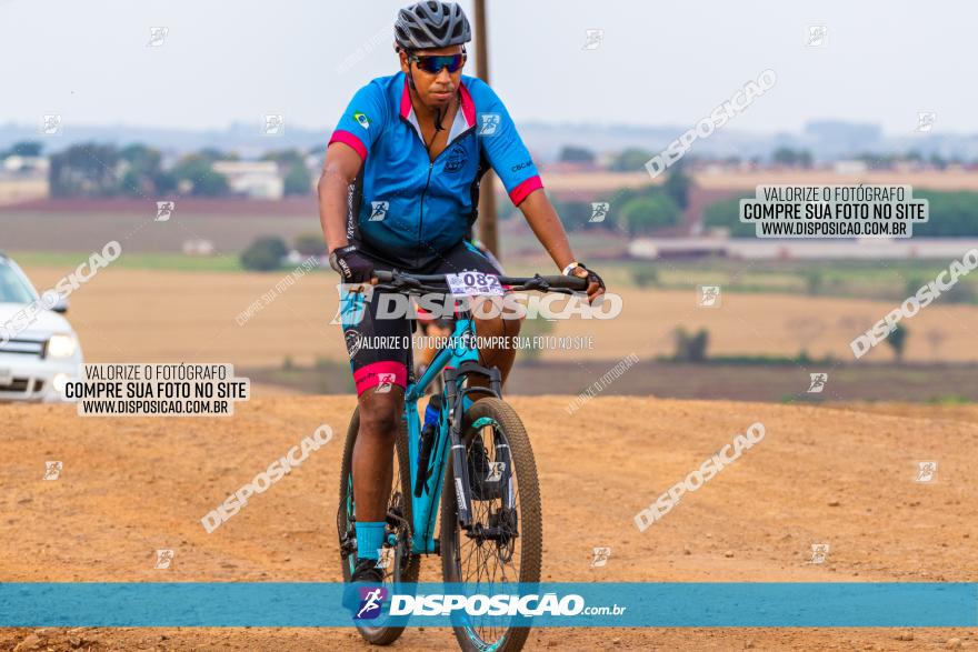 Rota das Capelas de Mandaguaçu