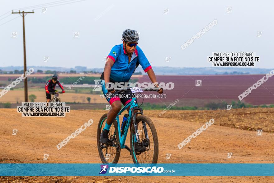 Rota das Capelas de Mandaguaçu