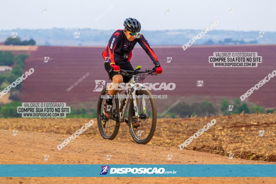 Rota das Capelas de Mandaguaçu