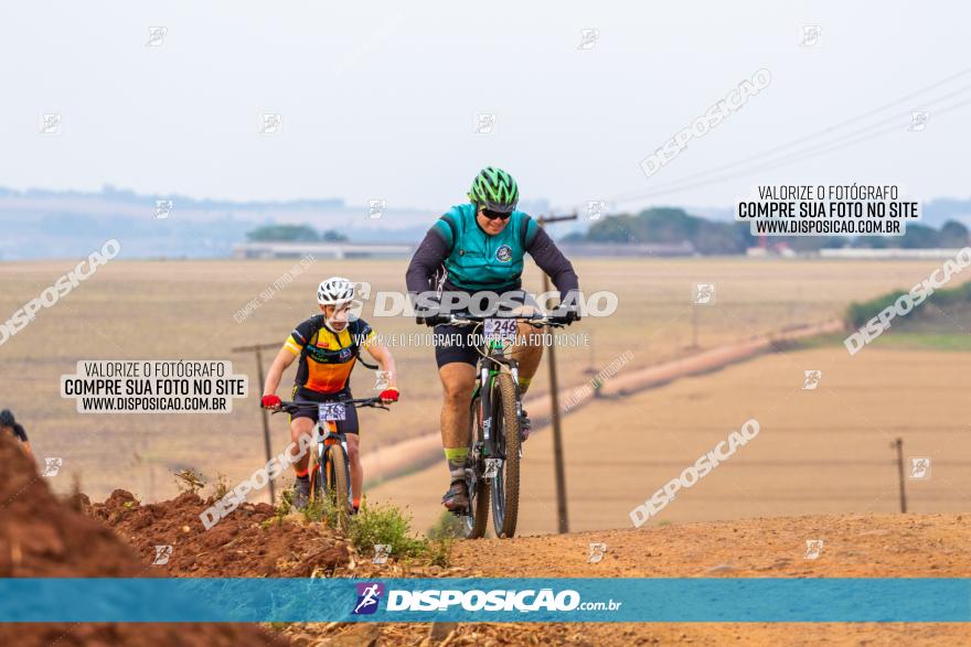 Rota das Capelas de Mandaguaçu