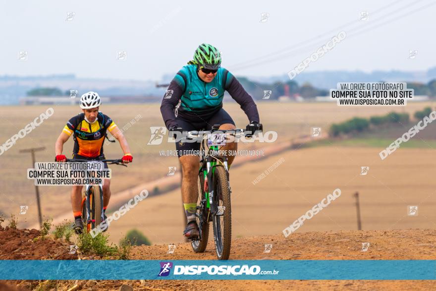 Rota das Capelas de Mandaguaçu